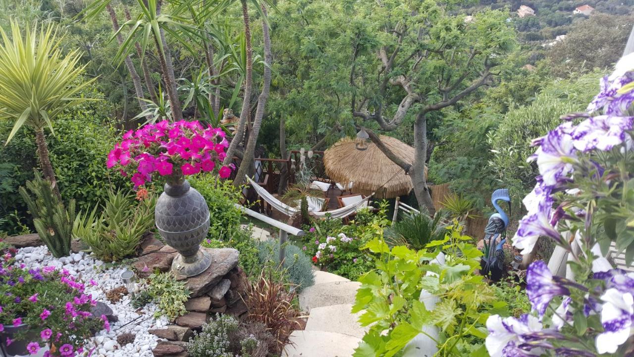 Nouveau ! Chambre D'Hote Insolite Privee " Coeurs De Pirates A Bali En Provence" Spa Sauna Massages Dans Cadre Exotique D'Amenagements Exterieurs D'Exception Ete Comme Hiver Bienvenue !!! 滨海卡瓦莱尔 外观 照片