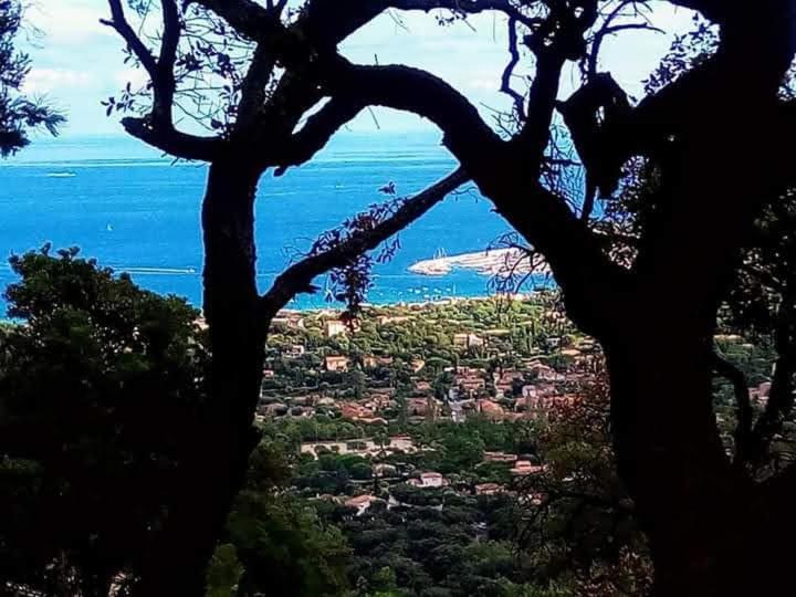Nouveau ! Chambre D'Hote Insolite Privee " Coeurs De Pirates A Bali En Provence" Spa Sauna Massages Dans Cadre Exotique D'Amenagements Exterieurs D'Exception Ete Comme Hiver Bienvenue !!! 滨海卡瓦莱尔 外观 照片